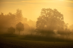 Herbstmorgen im Lindhorster Moor