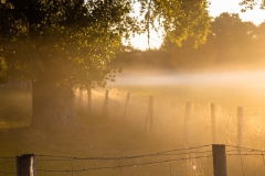 Herbstmorgen im Lindhorster Moor