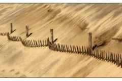 © Wolfgang Rieckmann