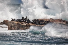 © Wolfgang Rieckmann