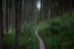 © Christoph Stockel-Veltmann