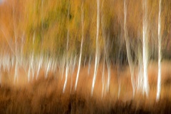 © Christoph Stockel-Veltmann