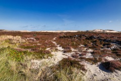 OSR1726_2021-Bearbeitet